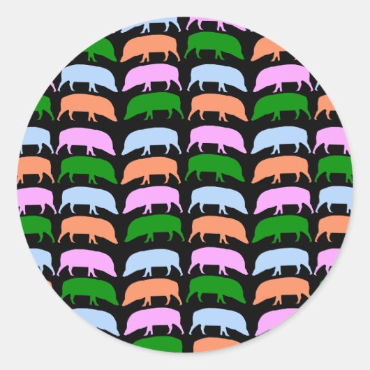 Rond Sticker pour porcs multicolores (Devant)