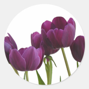 Rond Sticker pour tulipes