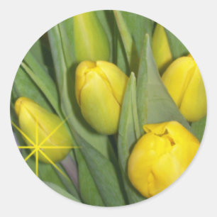 Rond Sticker pour tulipes