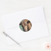 Rond Sticker pour veau mignon (Enveloppe)