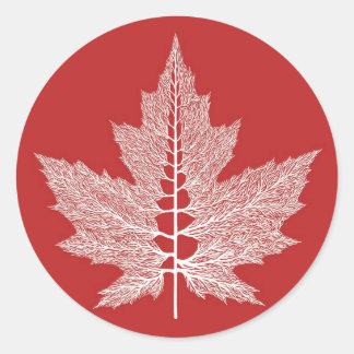 Rond Sticker pour veines Feuille d'érable (rouge)