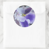 Rond Sticker pour violets africains (Sac)