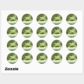 Rond Sticker pour yeux de grenouille (Feuille)