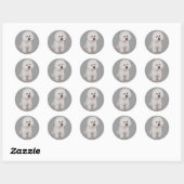 Rond Sticker Precious Bichon Frise (Feuille)