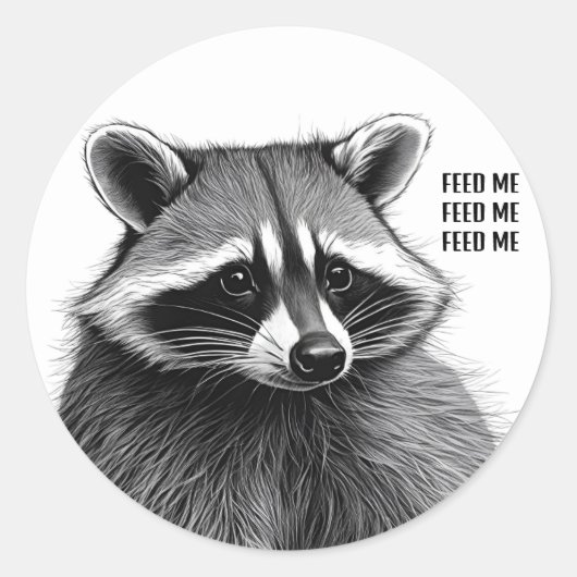 Rond Sticker Raccoon (Devant)