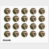 Rond Sticker Raccoon "Bandit" (Feuille)