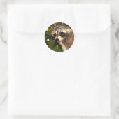 Rond Sticker Raccoon "Bandit" (Sac)