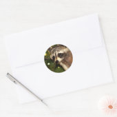 Rond Sticker Raccoon "Bandit" (Enveloppe)