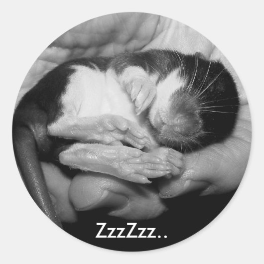 Rond Sticker Rattie couchage (Devant)