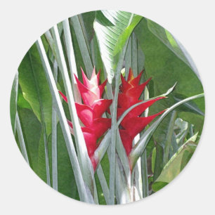 Rond Sticker Red Ginger