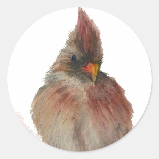 Rond Sticker Redbird (Devant)