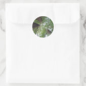 Rond Sticker Redwoods (Sac)
