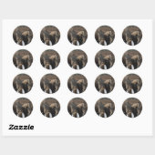 Rond Sticker Rhinos Noir (Feuille)