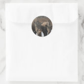 Rond Sticker Rhinos Noir (Sac)