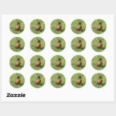 Rond Sticker Robin Nord-Américain (Feuille)