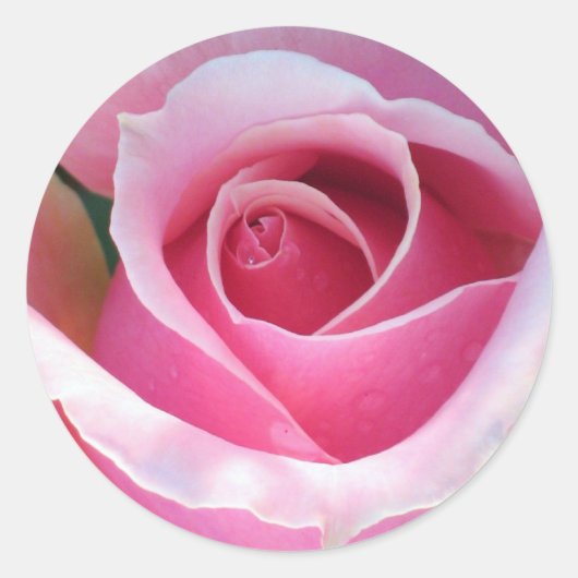 Rond Sticker rose (Devant)