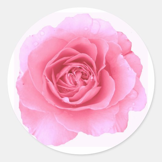 Rond Sticker rose (Devant)