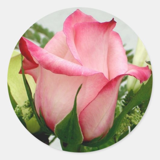 Rond Sticker rose (Devant)