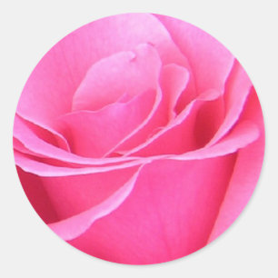 Rond Sticker rose