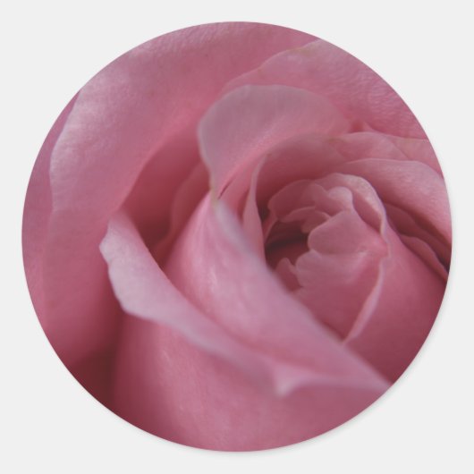Rond Sticker rose (Devant)
