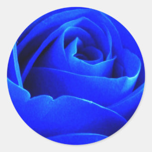 Rond Sticker Rose bleu