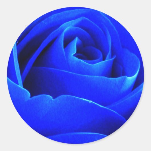 Rond Sticker Rose bleu (Devant)