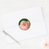 Rond Sticker Rose de chou rose botanique (Enveloppe)