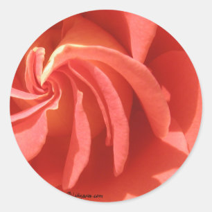 Rond Sticker Rose d'enveloppes rose