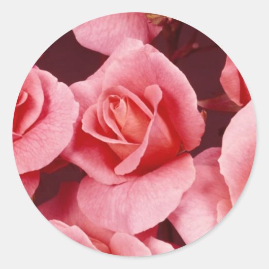 Rond Sticker rose Elegance (Devant)
