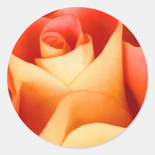 Rond Sticker Rose Enveloppe de Pêche (Devant)