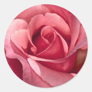 Rond Sticker rose et sceau d'enveloppe