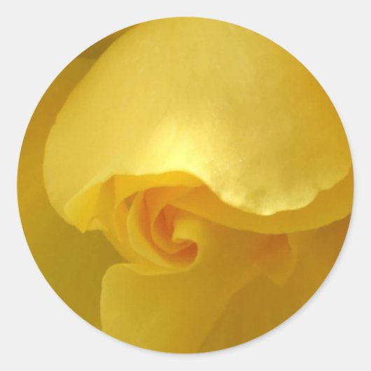 Rond Sticker rose jaune (Devant)