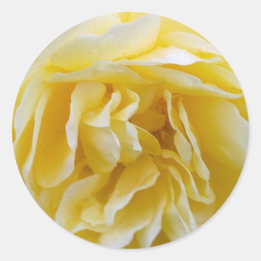 Rond Sticker rose jaune (Devant)