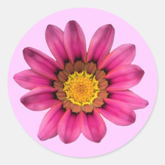 Rond Sticker rose marguerite (Devant)