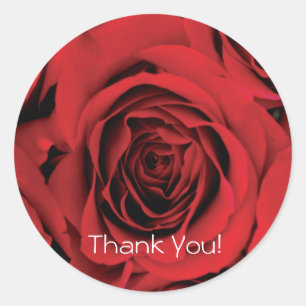 Rond Sticker rose Merci