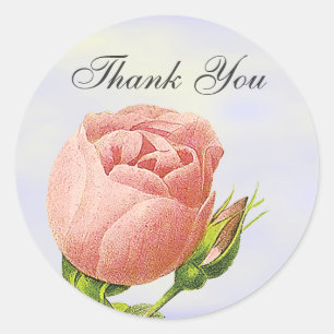 Rond Sticker rose Merci botanique