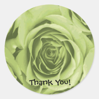 Rond Sticker Rose Merci Lime Green
