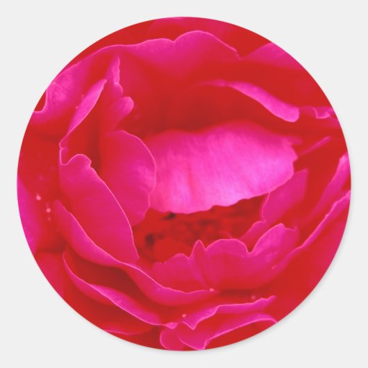 Rond Sticker rose - Personnalisable (Devant)