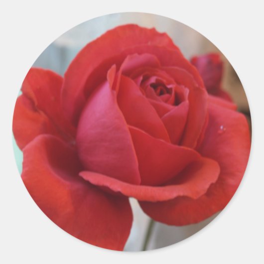 Rond Sticker Rose rouge (Devant)
