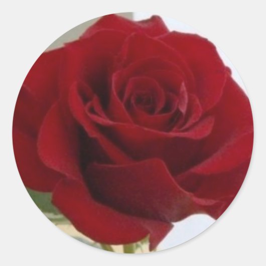 Rond Sticker Rose rouge (Devant)