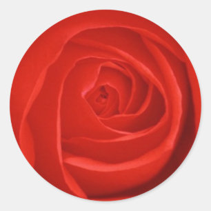 Rond Sticker Rose rouge