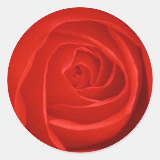 Rond Sticker Rose rouge (Devant)