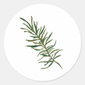Rond Sticker Rosemary Sprg Illustration Classic Round (Devant)