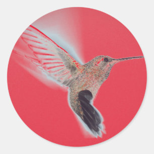 Rond Sticker ROUGE HUMMINGBIRD