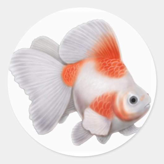 Rond Sticker Ryukin Goldfish (Devant)