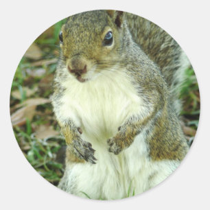 Rond Sticker sans titre