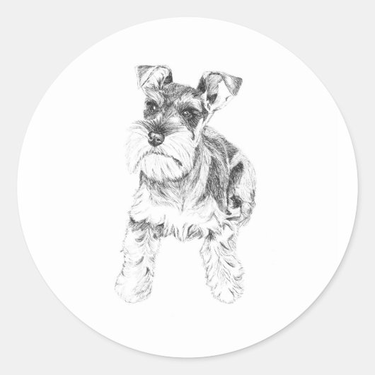 Rond Sticker Schnauzer miniature (Devant)