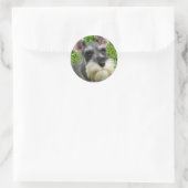 Rond Sticker Schnauzer miniature (Sac)