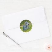 Rond Sticker Schnauzer miniature (Enveloppe)