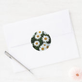 Rond Sticker Shasta Daisy (WestCreek) (Enveloppe)